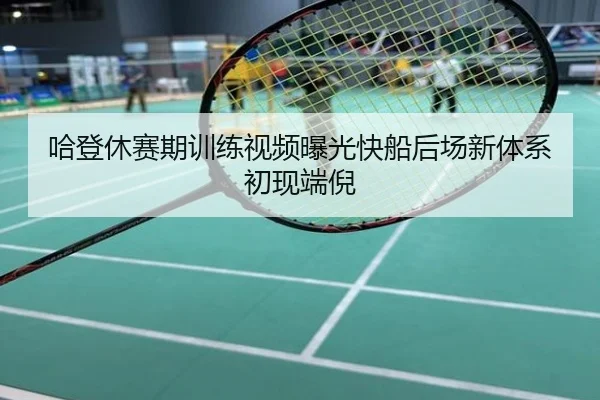 哈登休赛期训练视频曝光快船后场新体系初现端倪