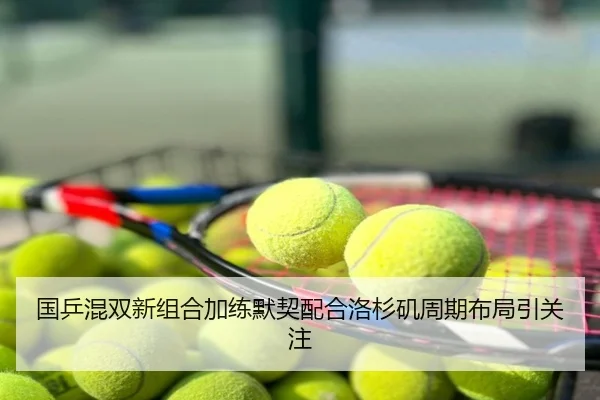 国乒混双新组合加练默契配合洛杉矶周期布局引关注