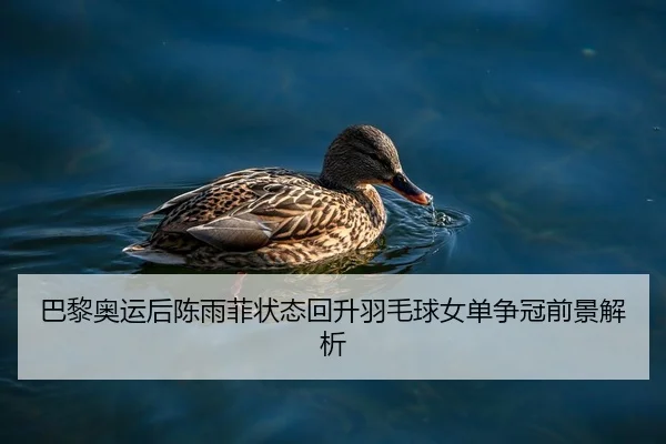 巴黎奥运后陈雨菲状态回升羽毛球女单争冠前景解析